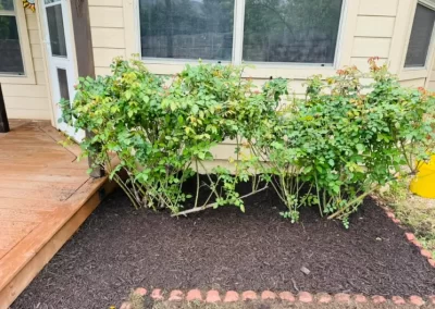 Landscape Designers