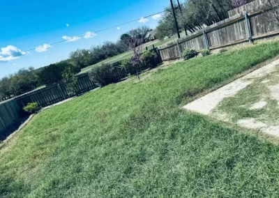 Landscaping Company