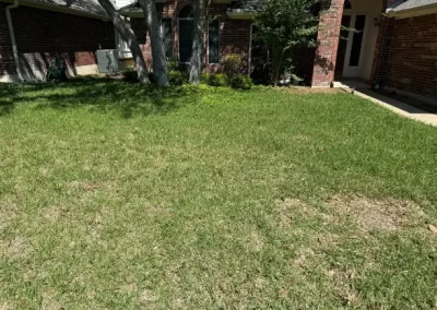 Landscaping Services (12)