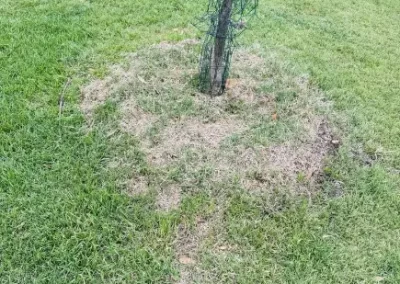 Landscaping Services (21)