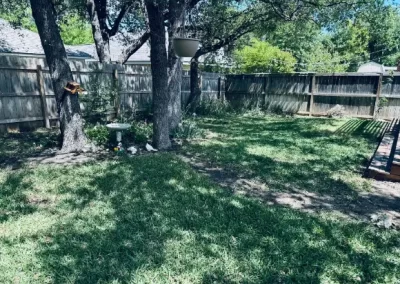 Landscaping Services (6)