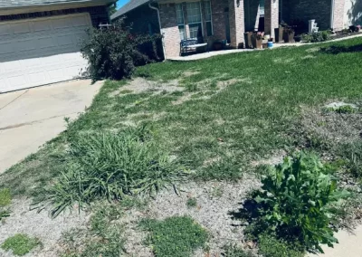 Landscaping Services (7)