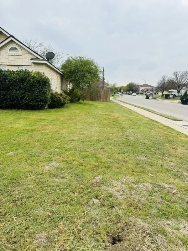 Reliable Landscaping Services