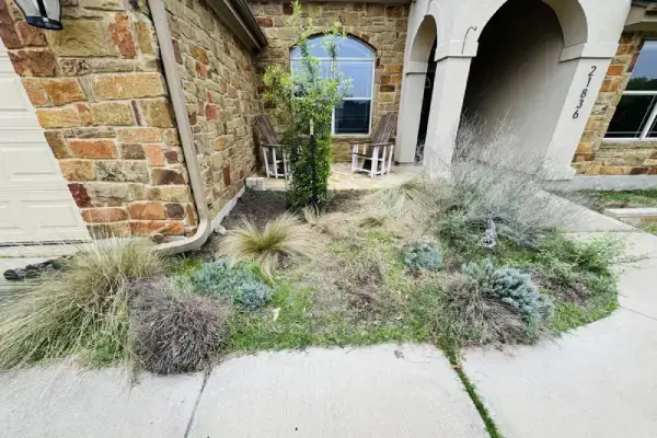 Texas Lawn Solutions' Other Services