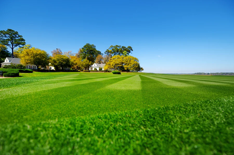 Boosting Curb Appeal With Expert Lawn Care Services in Garland, TX