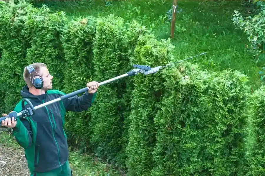 Choosing The Right Hedge Trimming Techniques For Your Plants Oakridge, Garland, TX 75040