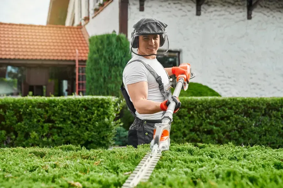 Choosing The Right Hedge Trimming Techniques For Your Plants in Oakridge, Garland, TX 75040