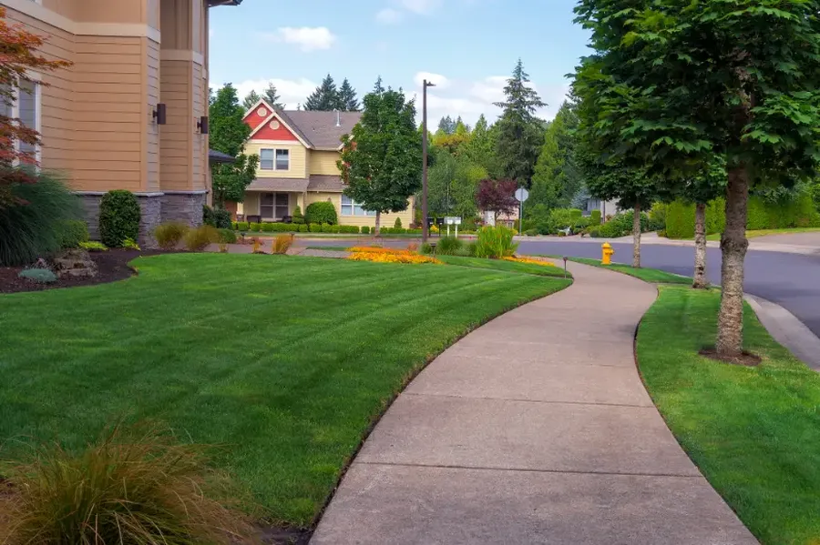 Common Lawn Issues And How Proper Maintenance Resolves Them in Firewheel Estates, Garland, TX 75040