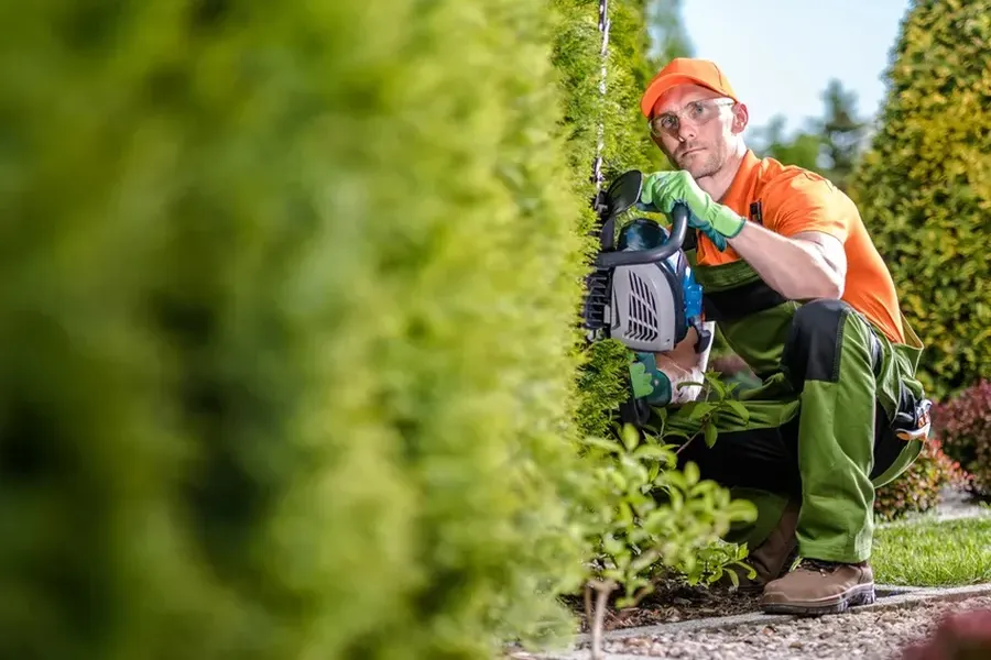Expert Hedge Trimming Garland, TX
