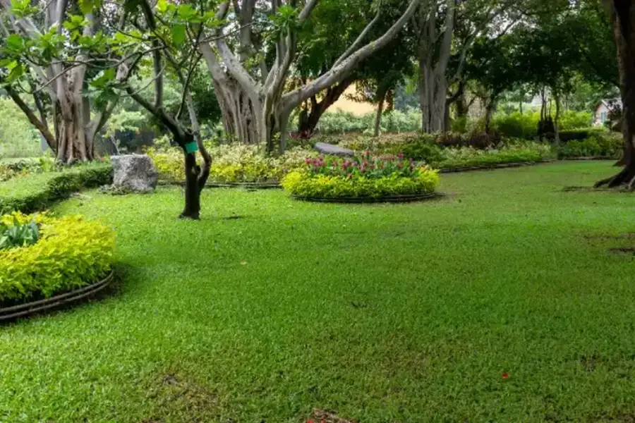 How Lawn Maintenance Enhances Curb Appeal For Homes Garland, TX