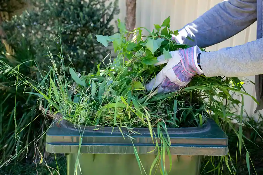 How Yard Cleanup Helps Prevent Pest Infestations and Diseases in Garland, TX 75040