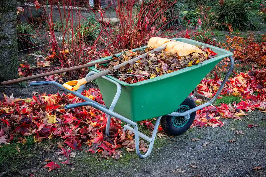 How Yard Cleanup Services Enhance Your Home’s Curb Appeal Spring Park, Garland, TX 75044
