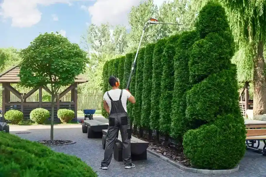 Premium Hedge Trimming Garland, TX