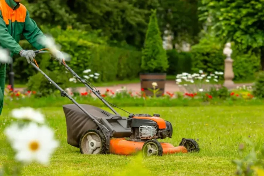 Professional Lawn Maintenance Garland, TX