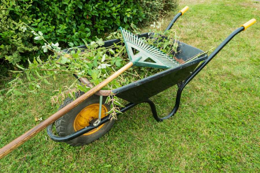 Professional Yard Cleanup in Spring Park, Garland, TX 75044