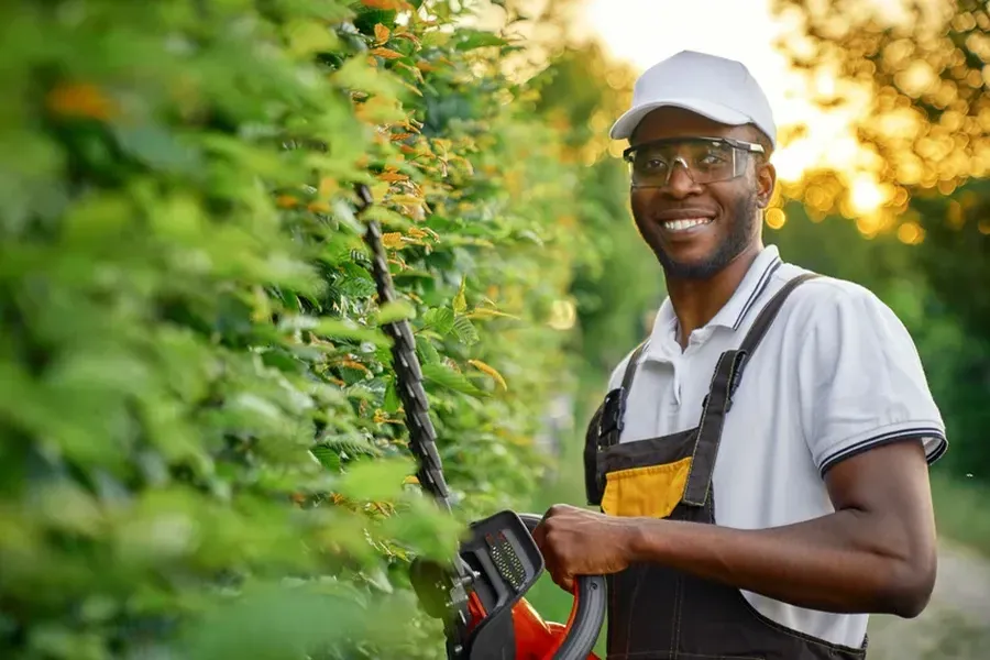 Reputable Hedge Trimming Garland, TX