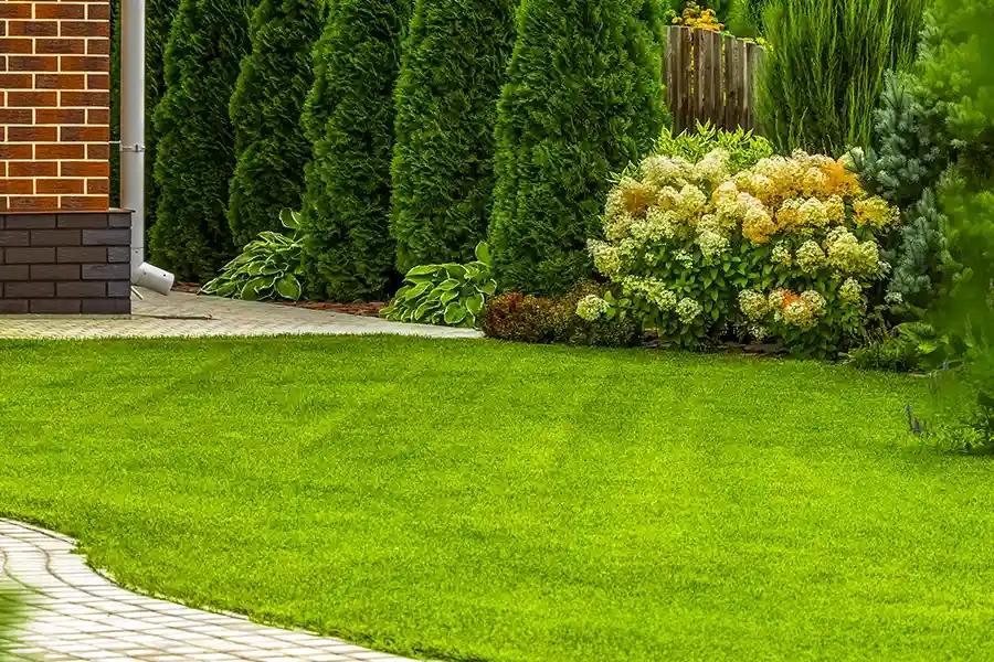 Top-rated Lawn Care Garland, TX