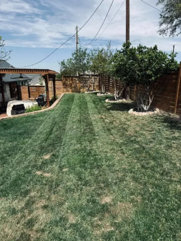 Quality Tree Pruning Services in Greens, Garland, TX 75044