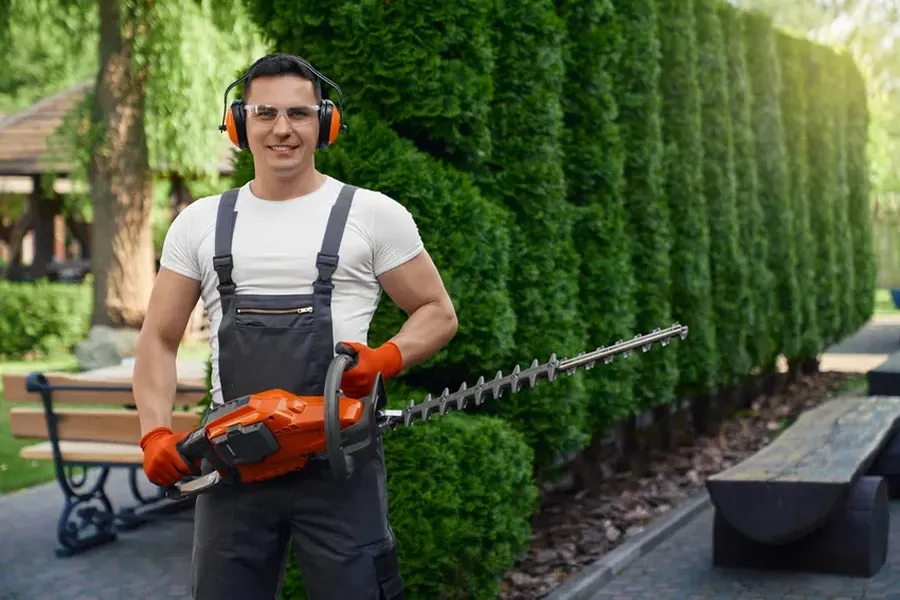 Understanding The Benefits Of Regular Hedge Trimming Garland, TX