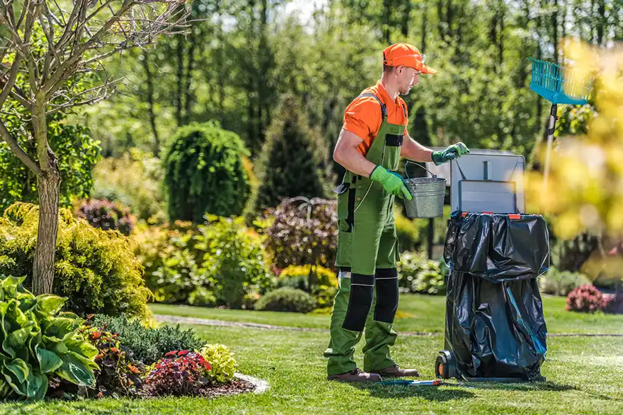 Reliable Yard Cleanup in Garland, TX 75040