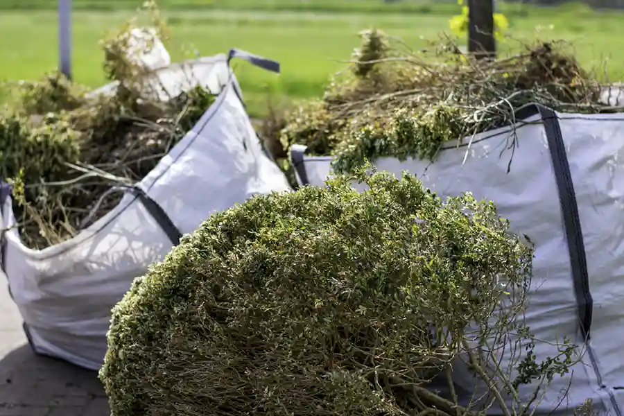 Quantity Yard Cleanup in Garland, TX 75040